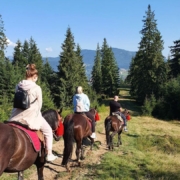 Кінні прогулянки у Микуличині