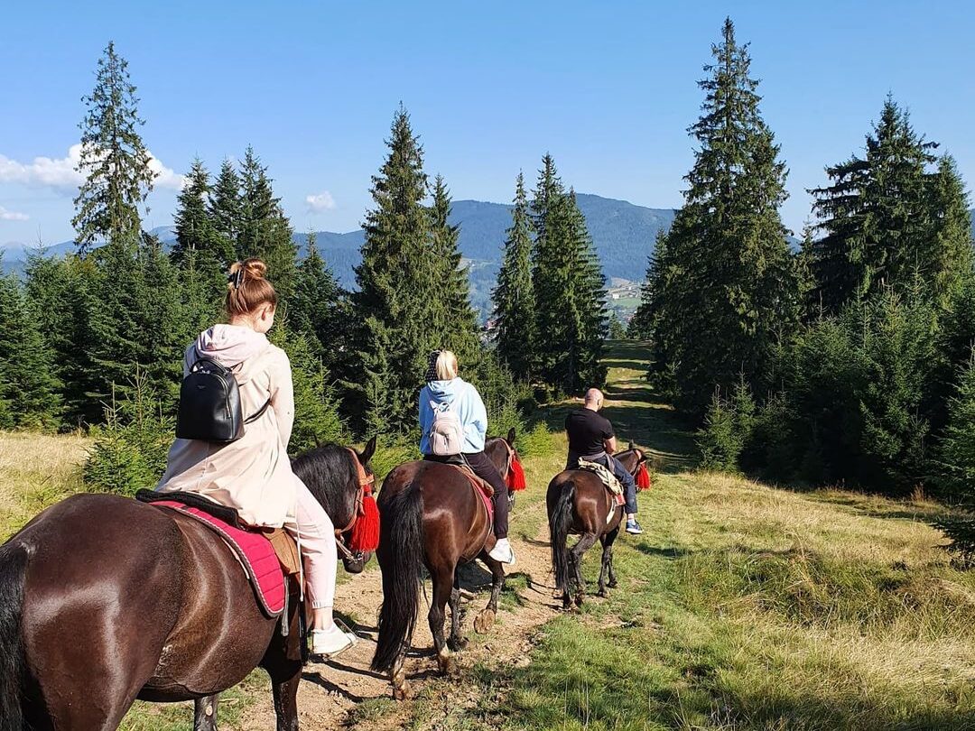Кінні прогулянки в Карпатах