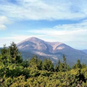 Похід у Ґорґани: сходження на гору Хом’як