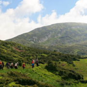 Тур на Говерлу 2025