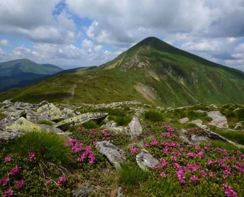 Кінні прогулянки Яремче