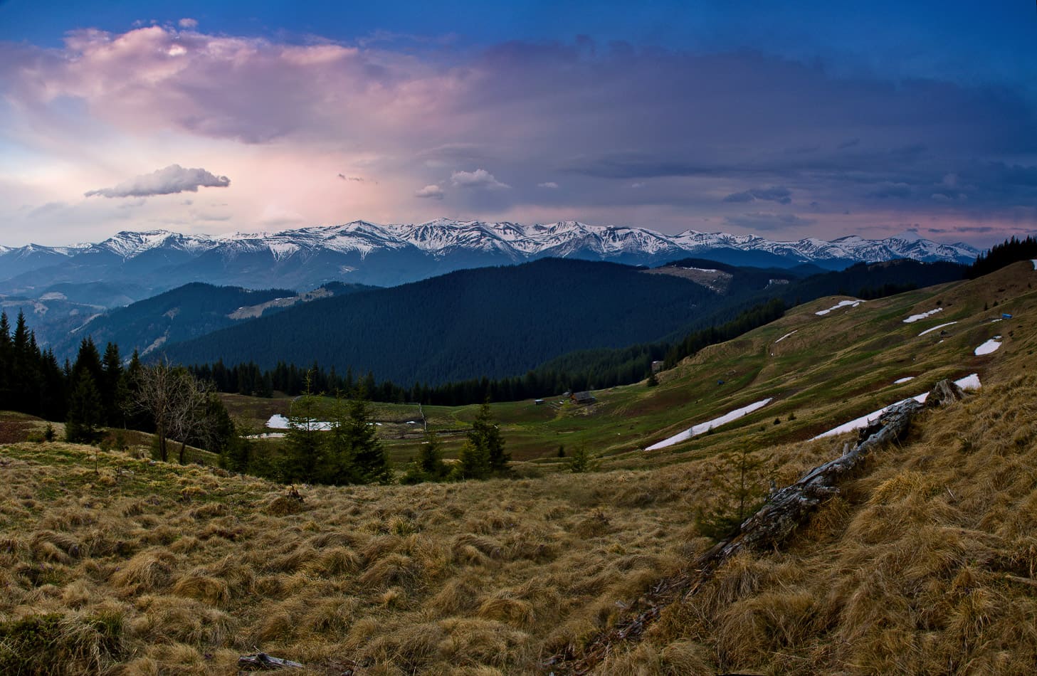 Природа Карпат