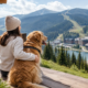 Отдых в Карпатах с собакой: pet-friendly отели Буковеля и Поляницы